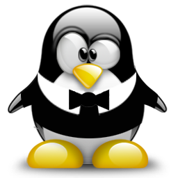 penguin pingouin pinguino 530
